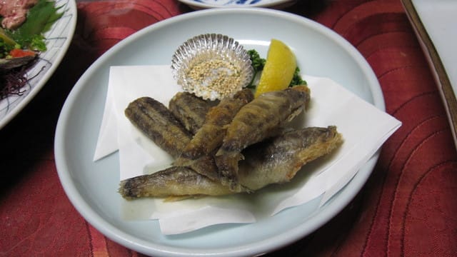 日本鹿兒島 Japan-Day 2-2(鹿兒島-吃好料睡大床)