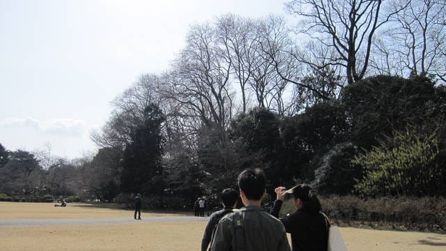 【日本】依依不捨倒數計時,新宿御苑&華航