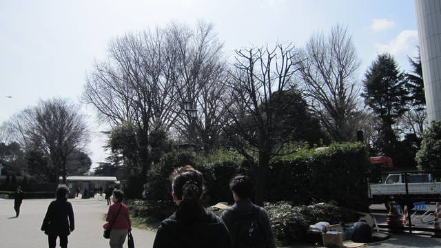 【日本】依依不捨倒數計時,新宿御苑&華航