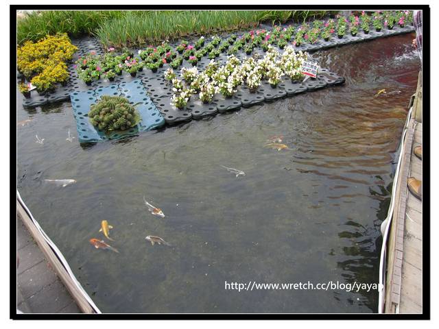 【台北】充滿各國園藝栽培跟造景藝術的花博「美術公園區」(上)