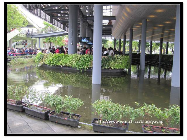【台北】以大片花海作出地景藝術景觀的花博「圓山公園區」 - 第12張圖 【台北】以大片花海作出地景藝術景觀的花博「圓山公園區」