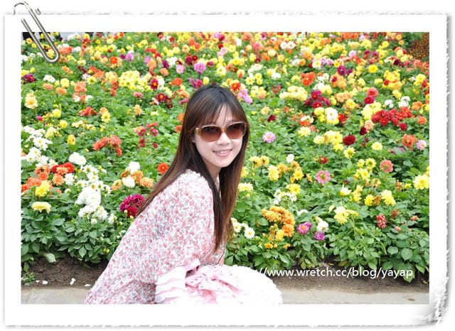 【台北】以大片花海作出地景藝術景觀的花博「圓山公園區」 - 第23張圖 【台北】以大片花海作出地景藝術景觀的花博「圓山公園區」