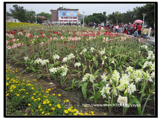 【台北】以大片花海作出地景藝術景觀的花博「圓山公園區」 - 第21張圖 【台北】以大片花海作出地景藝術景觀的花博「圓山公園區」