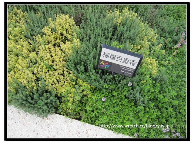 【台北】以大片花海作出地景藝術景觀的花博「圓山公園區」 - 第54張圖 【台北】以大片花海作出地景藝術景觀的花博「圓山公園區」