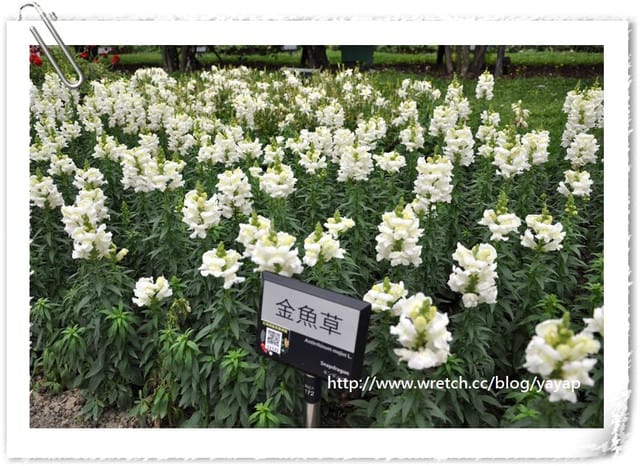 【台北】充滿閩南式建築及庭園手法的花博「新生公園區」