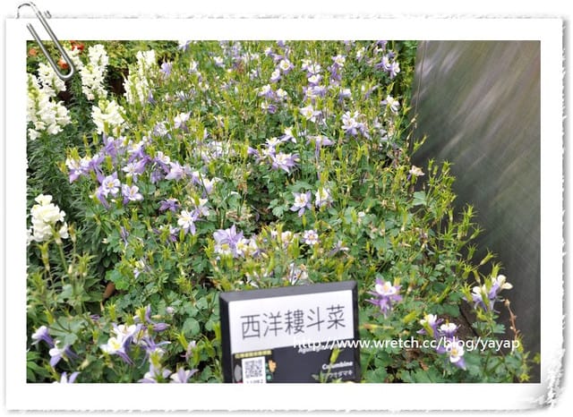 【台北】充滿閩南式建築及庭園手法的花博「新生公園區」