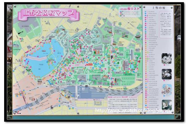 【日本】喔嗨早春的上野恩賜公園,我來囉! - 第67張圖 【日本】喔嗨早春的上野恩賜公園,我來囉!