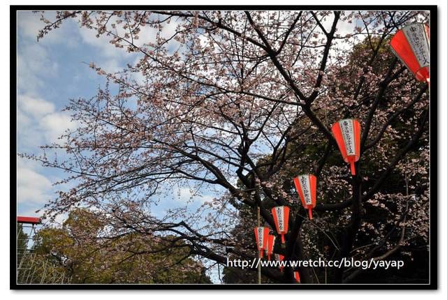 【日本】喔嗨早春的上野恩賜公園,我來囉! - 第31張圖 【日本】喔嗨早春的上野恩賜公園,我來囉!