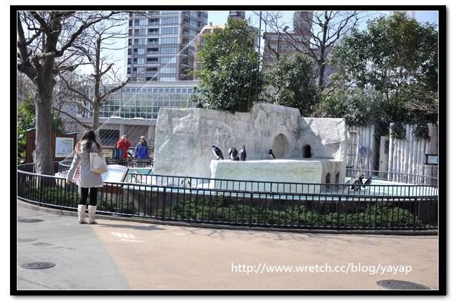 【日本】唷呼!My lovely上野動物園(上) - 第69張圖 【日本】唷呼!My lovely上野動物園(上)
