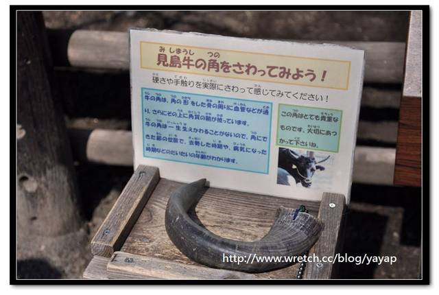 【日本】唷呼!My lovely上野動物園(上) - 第77張圖 【日本】唷呼!My lovely上野動物園(上)
