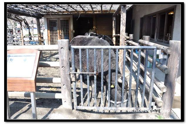 【日本】唷呼!My lovely上野動物園(上) - 第75張圖 【日本】唷呼!My lovely上野動物園(上)