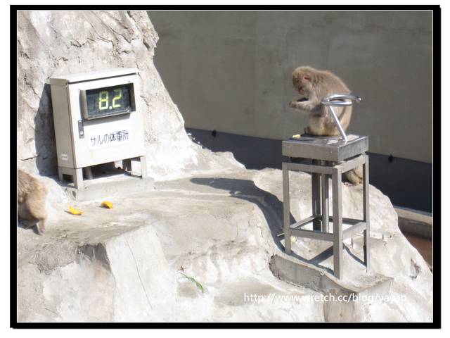 【日本】唷呼!My lovely上野動物園(上) - 第46張圖 【日本】唷呼!My lovely上野動物園(上)