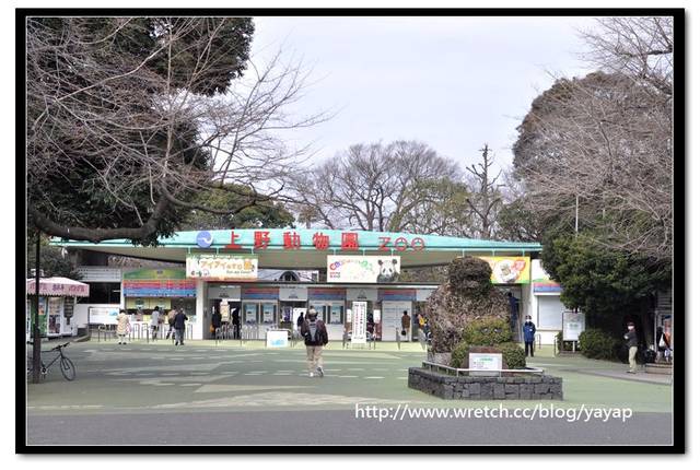 【日本】唷呼!My lovely上野動物園(上) - 第8張圖 【日本】唷呼!My lovely上野動物園(上)