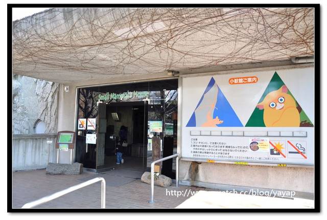 【日本】唷呼!My lovely上野動物園(下)