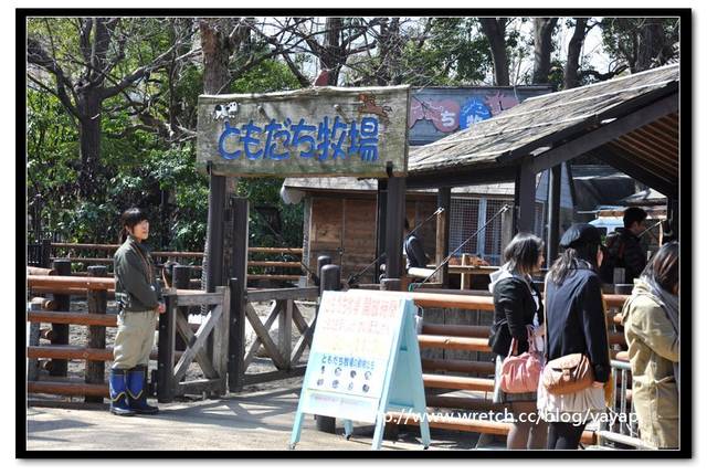 【日本】唷呼!My lovely上野動物園(下)