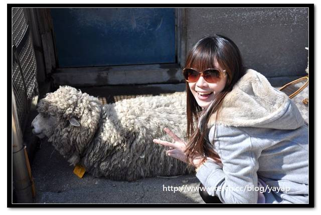 【日本】唷呼!My lovely上野動物園(下)