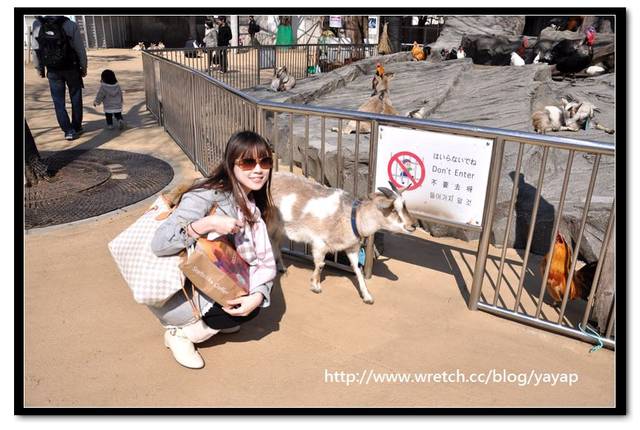 【日本】唷呼!My lovely上野動物園(下)