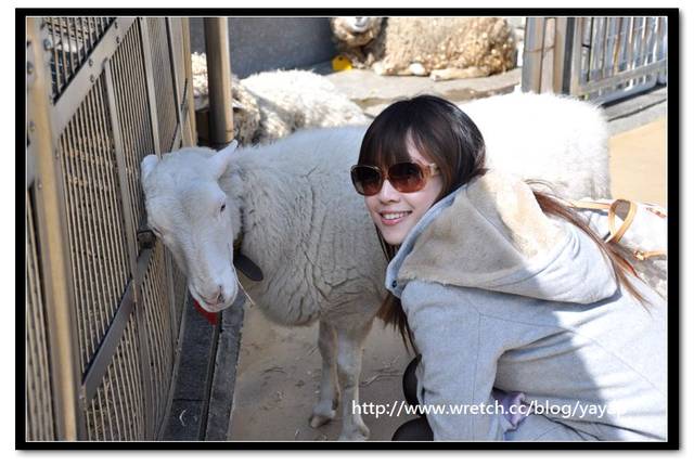 【日本】唷呼!My lovely上野動物園(下)