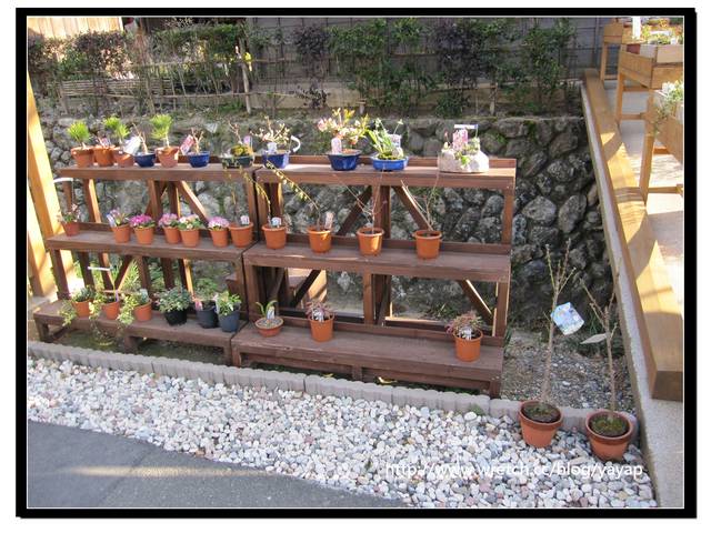 【日本】來伊勢神宮一定要逛的托福橫丁(おかげ横丁)