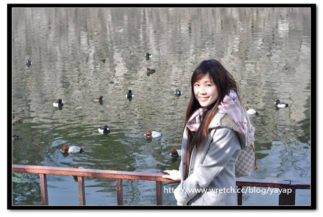 【日本】在大阪城公園與漫天花海的邂逅
