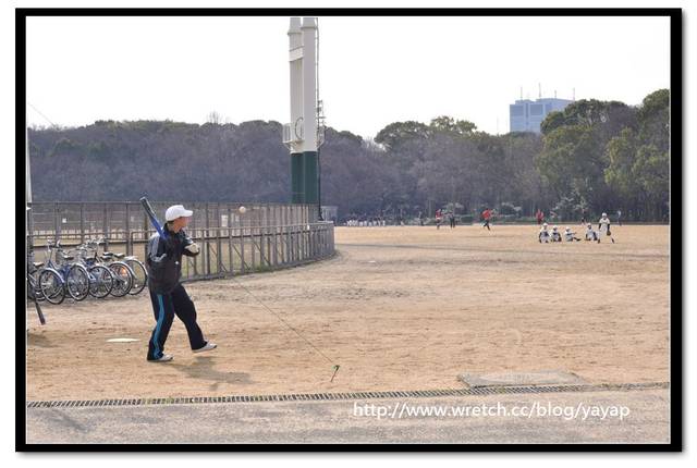 【日本】在大阪城公園與漫天花海的邂逅