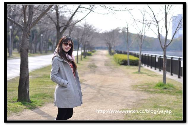 【日本】在大阪城公園與漫天花海的邂逅