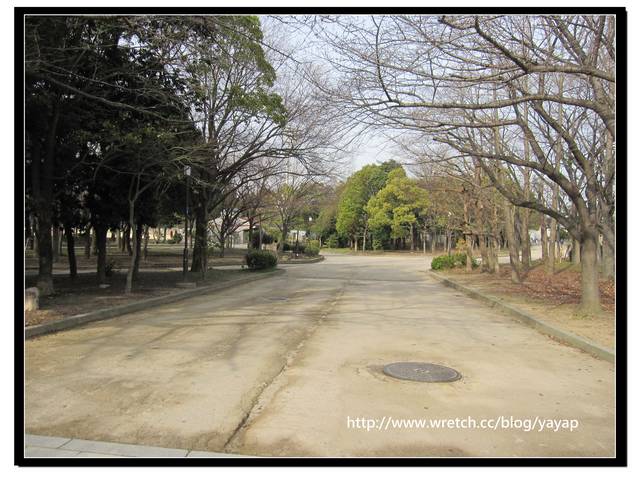 【日本】在大阪城公園與漫天花海的邂逅