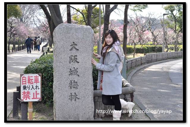 【日本】在大阪城公園與漫天花海的邂逅