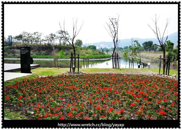 【高雄】親子、情侶外拍都適合,愛河中都溼地公園!