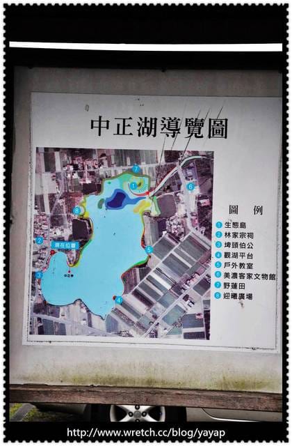 高雄景點篇。前進美濃遇見的美好-二寥、中正湖、波斯菊、旗山老街。 - 第8張圖 高雄景點篇。前進美濃遇見的美好-二寥、中正湖、波斯菊、旗山老街。
