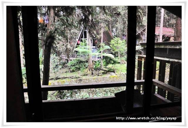 【南投】夢寐以求的妖怪村度假來囉溪頭明山森林會館小木屋!
