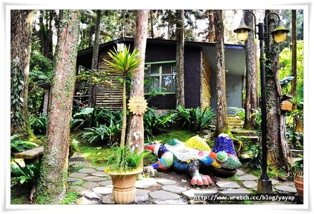 【南投】溪頭明山森林會館,住宿區是個童話世界