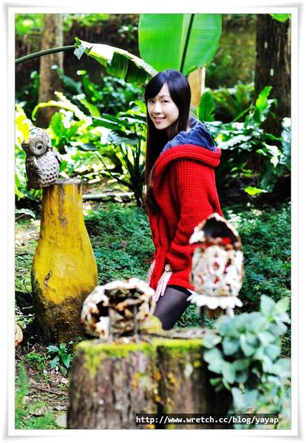 【南投】溪頭明山森林會館,住宿區是個童話世界