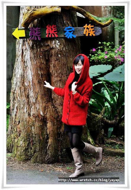 【南投】溪頭明山森林會館,住宿區是個童話世界