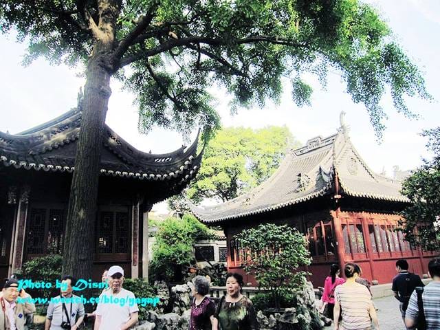 【上海】有吃有逛好美膩,江南古典園林風格之豫園商城 - 第38張圖 【上海】有吃有逛好美膩,江南古典園林風格之豫園商城