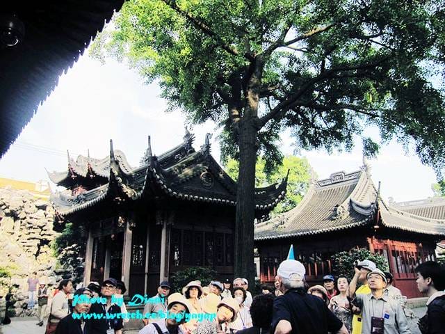 【上海】有吃有逛好美膩,江南古典園林風格之豫園商城 - 第37張圖 【上海】有吃有逛好美膩,江南古典園林風格之豫園商城