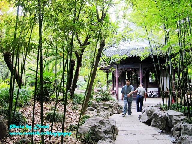 【上海】有吃有逛好美膩,江南古典園林風格之豫園商城 - 第42張圖 【上海】有吃有逛好美膩,江南古典園林風格之豫園商城