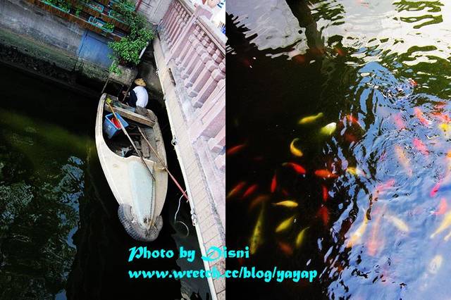【上海】有吃有逛好美膩,江南古典園林風格之豫園商城 - 第17張圖 【上海】有吃有逛好美膩,江南古典園林風格之豫園商城