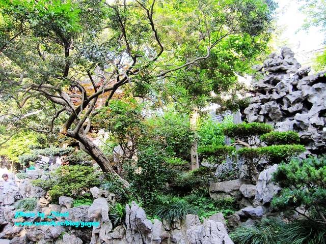 【上海】有吃有逛好美膩,江南古典園林風格之豫園商城 - 第50張圖 【上海】有吃有逛好美膩,江南古典園林風格之豫園商城