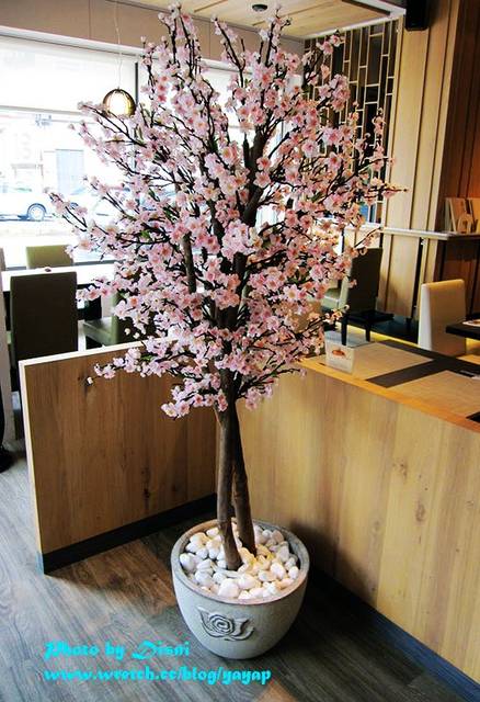 【美食】鍋物創意料理,好講究的台南源湯養生火鍋 - 第8張圖 【美食】鍋物創意料理,好講究的台南源湯養生火鍋