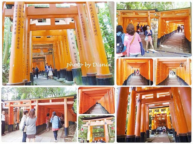 【日本關西】Day4京都奈良前往伏見稻荷、周邊地圖資訊&參道商店街、祢ざめ家(現烤美味鰻魚飯)、伏見稻荷大社&狐狸神&千本鳥居(藝妓回憶錄場景) - 第28張圖 伏見稻荷 (15)