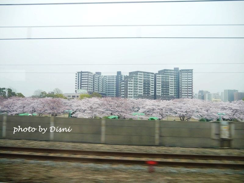 1-6.JPG 1-6.JPG