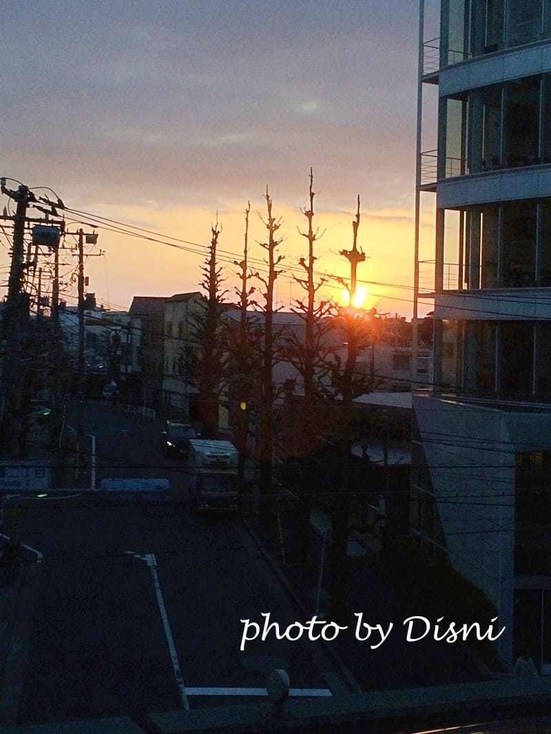 1-3IMG_1585.jpg