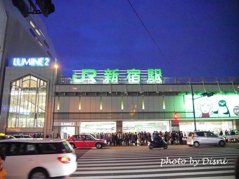 2-1P1090774.jpg