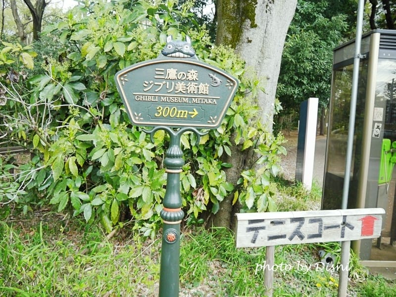 1-1P1100319.jpg