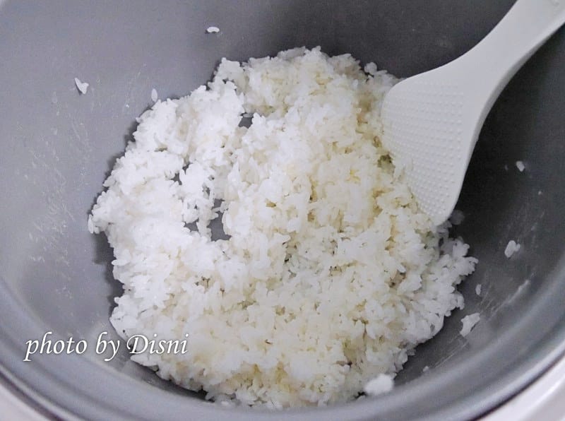 【料理】南豐馫米美味好吃的家庭料理,從選擇適合全家人的米飯開始 - 第7張圖 1-3