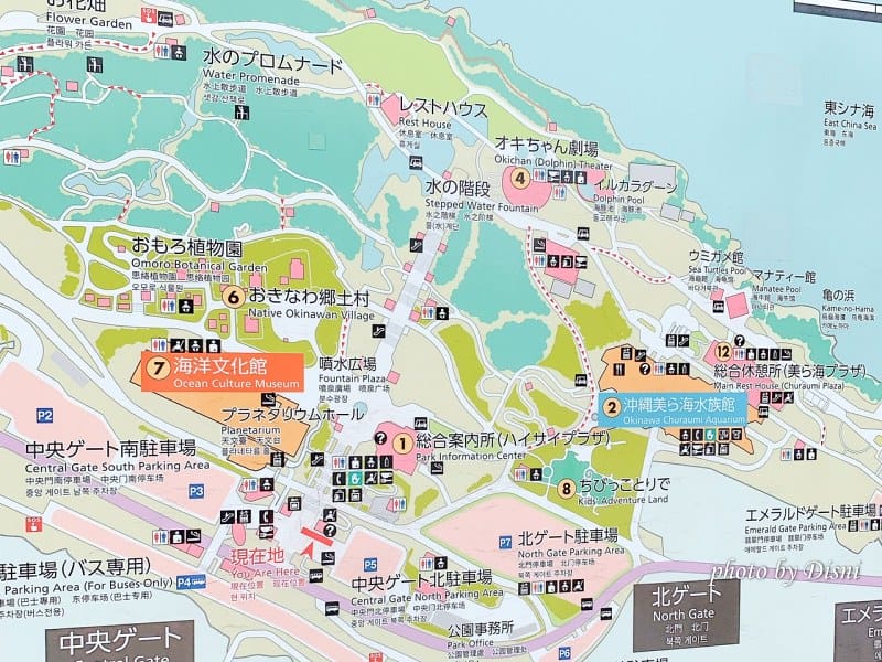 【日本遊記】一打一沖繩親子自由行Day2絕不能錯過的行程,沖繩美麗海水族館 - 第4張圖 1-2 S__189759492