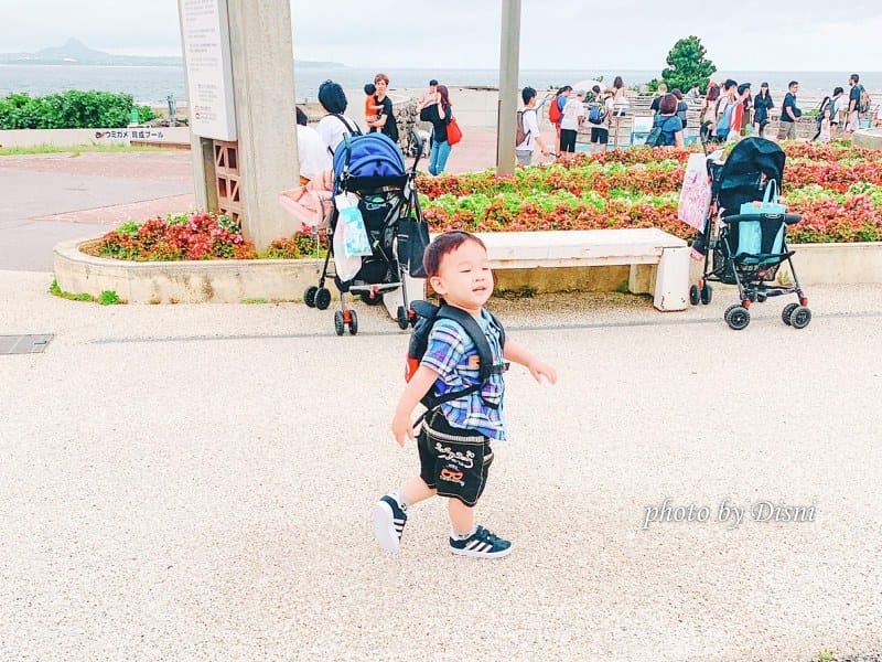 【日本遊記】一打一沖繩親子自由行Day2絕不能錯過的行程,沖繩美麗海水族館 - 第39張圖 3-1 S__189759528