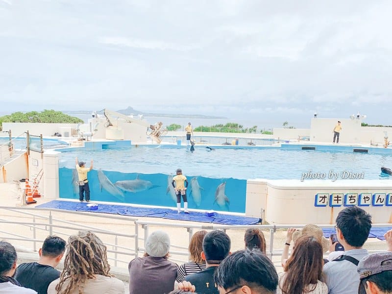 【日本遊記】一打一沖繩親子自由行Day2絕不能錯過的行程,沖繩美麗海水族館 - 第16張圖 1-2 S__189759505