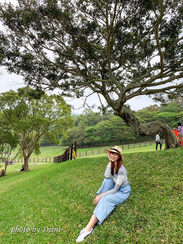 【苗栗親子景點】飛牛牧場戶外踏青野餐好去處,園地很大且各種體驗活動很有趣 - 第42張圖 2-8
